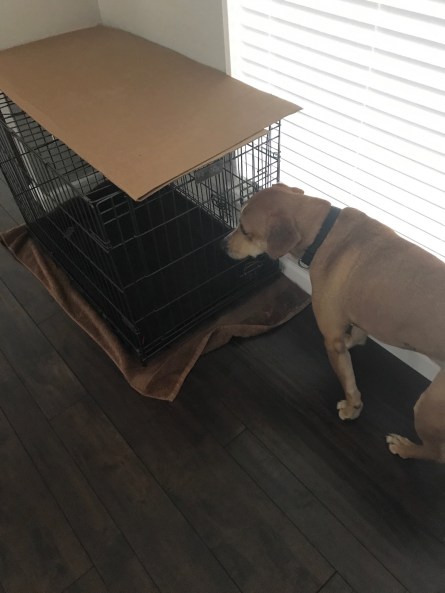 55768523346__526831FF-6047-4D67-AE28-152D329CAF0B